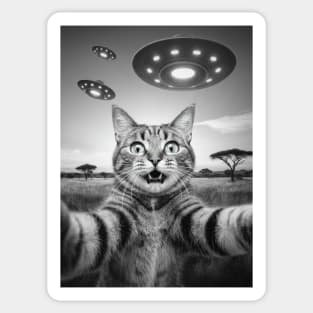 Selfie of Funny Cat And Aliens UFOs in African Savanna #2 Sticker